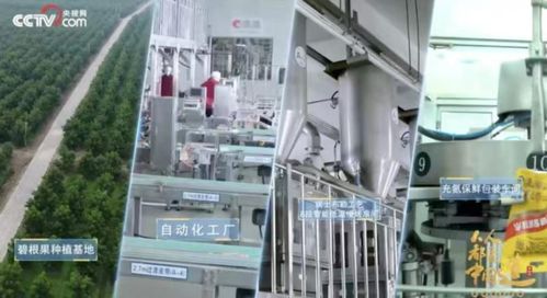 洽洽20年 一把堅果背后的匠心與堅守，與網絡科技領域技術開發的跨界啟示